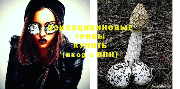 альфа пвп Дмитровск