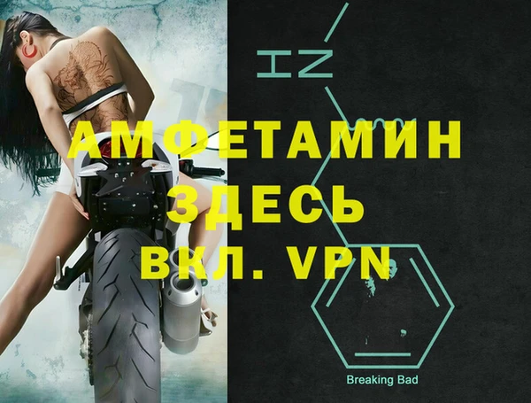 стафф Дмитриев