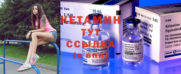 стафф Дмитриев