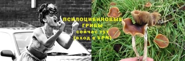 альфа пвп Дмитровск