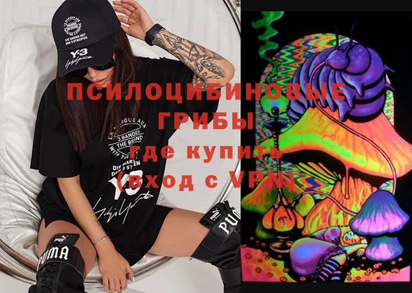 mdpv Дмитров