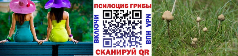 Галлюциногенные грибы мицелий  OMG   Каспийск 